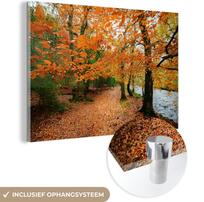 ® Glasschilderij 180x120 cm - Schilderij acrylglas - De herfstbossen in het Nationaal park Dartmoor in Engeland - Foto op glas - Muurdecoratie woonkamer - Wanddecoratie slaapkamer - Schilderijen