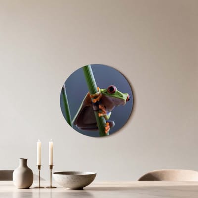 KitchenArt - Emerald Climber - Muurcirkel Binnen - ø 40 cm - Wandcirkel - Mét Ophangsysteem - Wanddecoratie - Muurdecoratie