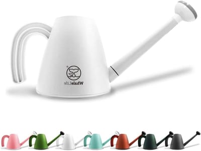 Water Gieter - Planten water geven - Binnen planten - Transparant reservoir - 2 Liter inhoud - Wit
