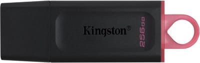 Kingston Technology DataTraveler Exodia USB flash drive 256 GB USB Type-A 3.2 Gen 1 (3.1 Gen 1) Zwart