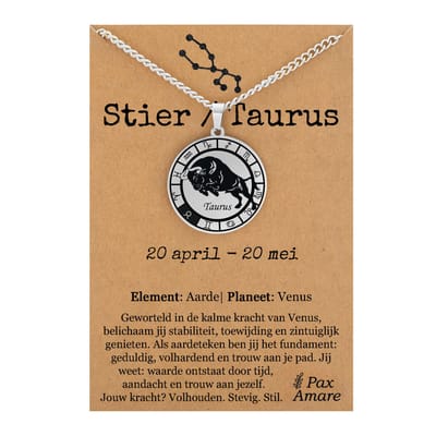 Stier / Taurus Sterrenbeeld Ketting op Cadeau Kaartje - Zilverkleurig - RVS - Spiritueel Cadeau - 60cm - Pax Amare