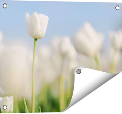 Gards Tuinposter Witte Tulpen - Bloemen - 50x40 cm - Tuindoek - Tuindecoratie - Wanddecoratie buiten - Tuinschilderij