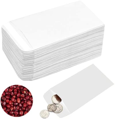 Dailygoods- Zadenhoesjes 100 stuks - Zelfklevend - Papieren Zakjes - 6 x 10 cm - Voor Sieraden/Munten/Postzegels - Hoogwaardig Materiaal