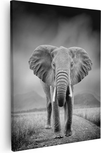 Artaza Canvas Schilderij Olifant Afrika - 40x50 cm - Wanddecoratie Woonkamer - Muurdecoratie Dieren - Kamer Accessoires Safari