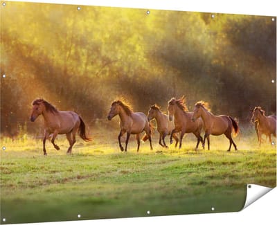 Gards Tuinposter Kudde Bruine Paarden in de Wei - 180x120 cm - Tuindoek - Tuindecoratie - Wanddecoratie buiten - Tuinschilderij