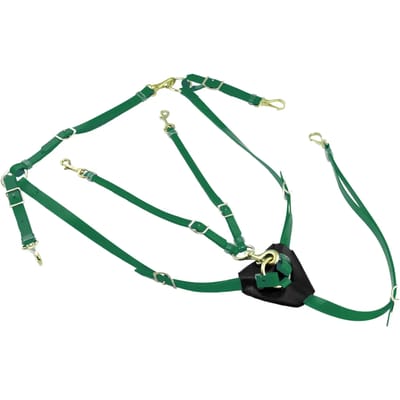 Jachtcollier met martingale in biothaan Lakota