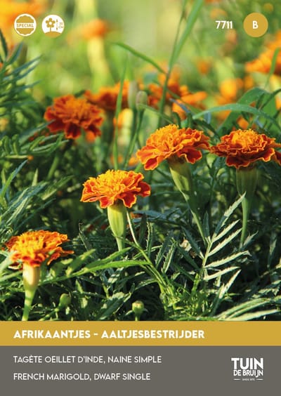 Tuin de Bruijn® zaden Afrikaan Nematode control (aaltjes)