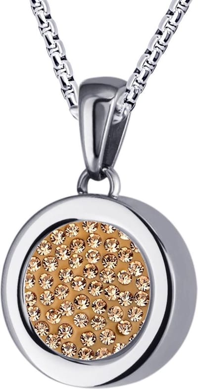 Quiges 12mm Mini Munt Hanger Zilverkleurig RVS Glans met Zirkonia Munt en met Anker Ketting 42-46cm