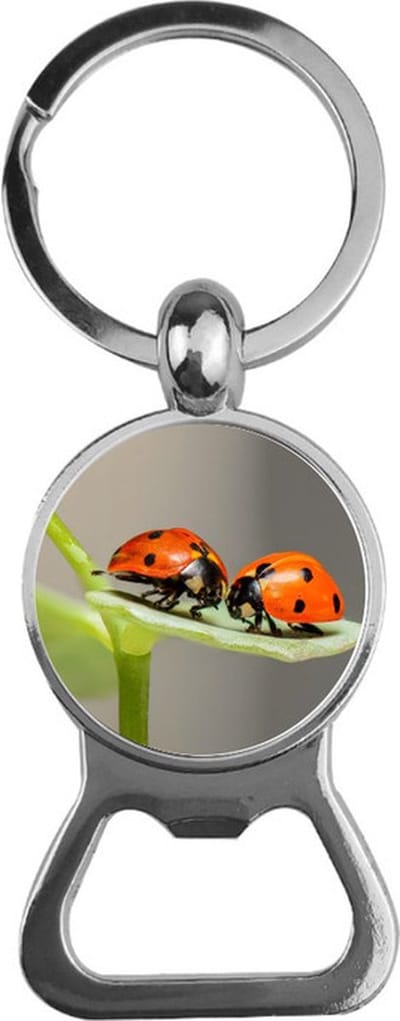 Bieropener Glas - Lieveheersbeestjes
