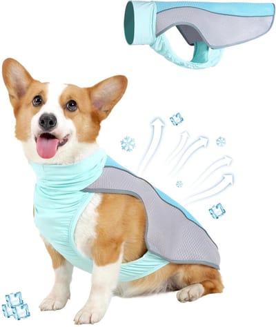 Koelvest Hond L - Cooling Vest - Koeljas Hond - IJszijde - Ademende Mesh Hondenjas - UV-bescherming - Verkoeling Hond - Verkoelende Harnas - Verkoelende Hondenvest - Coolvest - Verkoelende Jas - Blauw