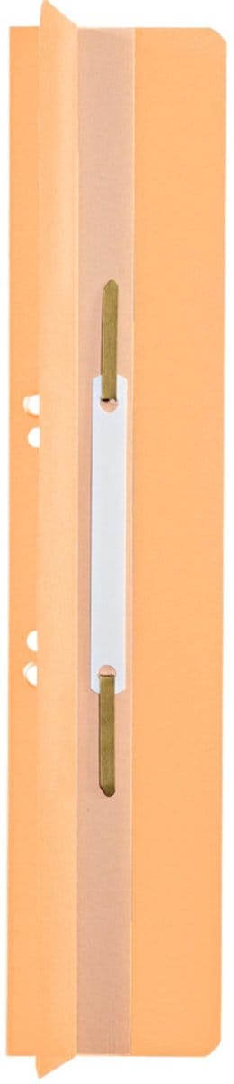 LEITZ Heftrücken, 65 x 305 mm, Manilakarton, chamois, mit Heftfalz, 250 g-qm, Lochung: 60-80 mm, Standard-Lochung (3726-00-11)
