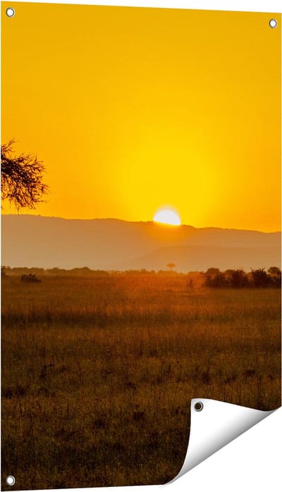 Gards Tuinposter Zonsopgang in de Savanne met een Boom - 60x90 cm - Tuindoek - Tuindecoratie - Wanddecoratie buiten - Tuinschilderij