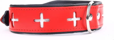 Dog's Companion Leren Halsband - Swiss - Lengte: 45 cm Verstelbaar van 32-41 cm x 40 mm - Rood