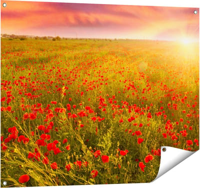Gards Tuinposter Rode Klaproos Bloemenveld - Zonsondergang - 100x80 cm - Tuindoek - Tuindecoratie - Wanddecoratie buiten - Tuinschilderij