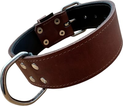 K9World by van der Veeke, Lederen Hondenhalsband – 5 cm Breed – Dubbel Leer – Handgemaakt – Donker Bruin– Maat 40–50 cm