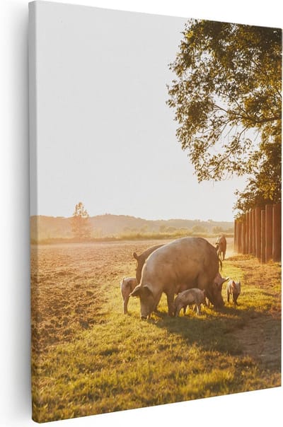 Artaza Canvas Schilderij Dieren - 40x50 cm - Wanddecoratie Landschap - Muurdecoratie Varken - Schilderijen Op Canvas