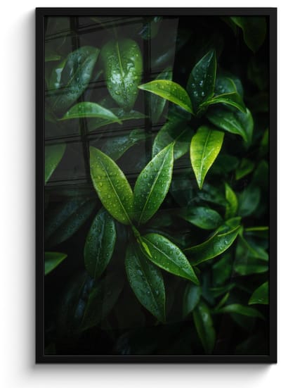 Poster in lijst - Fotolijst 60x90 cm - Posters - Bladeren - Regendruppels - Licht - Groen - Posterlijst zwart - Decoratie - Wanddecoratie woonkamer - Muurdecoratie slaapkamer