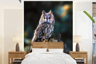 Behang - Fotobehang Uil - Herfst - Vogel - Takken - Breedte 160 cm x hoogte 220 cm