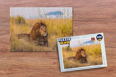 Puzzel Mannetjes leeuw tussen het gras hoge gras in het Nationaal park Serengeti - Legpuzzel - Puzzel 500 stukjes