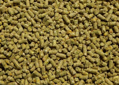 Hm Kippen Legkorrel 20 kg