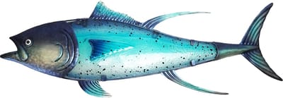 Eurocatch Tonijn - Muurdecoratie 80cm - 3-D Metaal en Glas - Kunst - Mancave Decoratie - Wanddecoratie - Cadeau Idee - Vaderdag Cadeau