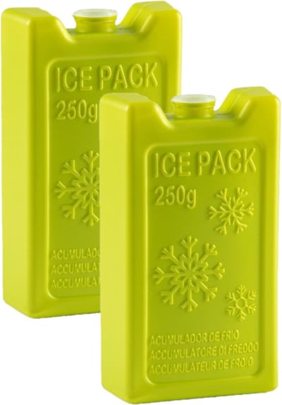 Plasticforte Koelelementen - 2x - 250 grams - 13 x 7.5 cm - groen - kunststof - voor koeltas en koelbox