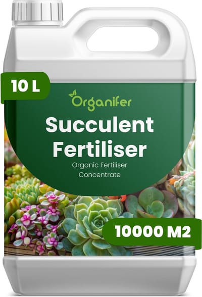 Vloeibare Meststof Voor Vetplant 10 L Voor 10000 M2 - Npk 2-1-8 - Ondersteunt Compacte - Gecontroleerde Groei Bij Vetplanten - Versterkt De Kleurintensiteit Van Het Blad En De Structurele Stevigheid - Voor Vetplanten Binnen En Buiten - Organifer
