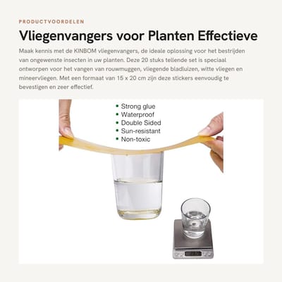 Dailygoods- Vliegenvanger 20 Stuks - Plakstrip voor Planteninsecten - Rouwmuggen - Bladluizen - Witte Vliegen - 15 x 20 cm - Plantenbescherming