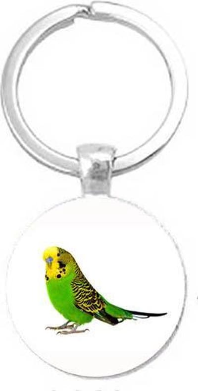 Akyol - Parkiet Sleutelhanger - Vogels - Vogel - Huisdier - Dier - Leuk kado voor iemand die van vogels houd - 2,5 x 2,5 CM