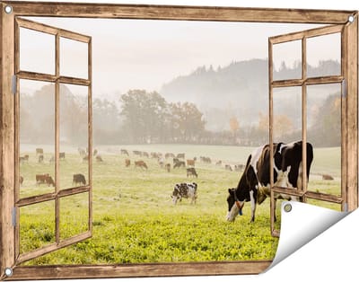 Gards Tuinposter Doorkijk Zwart Witte Koeien in de Wei - 90x60 cm - Tuindoek - Tuindecoratie - Wanddecoratie buiten - Tuinschilderij