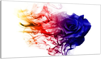 TMK ArtDeko Serie - Kookplaat Achterwand - 90x52 cm - Rozenprint