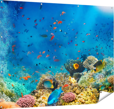 Gards Tuinposter Onderwater Vissen met Koraal in de Zee - 150x120 cm - Tuindoek - Tuindecoratie - Wanddecoratie buiten - Tuinschilderij