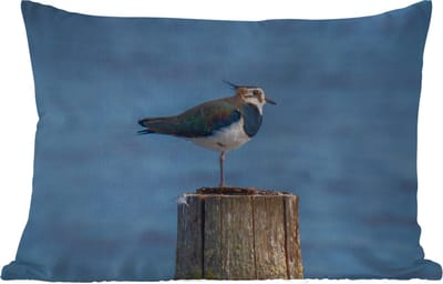 Buitenkussens - Tuin - Vogel - Dieren - Paal - Blauw - Kievit - 50x30 cm