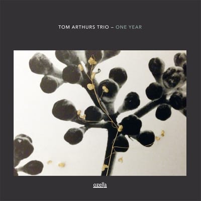 Tom Arthurs Trio - One Year (CD)
