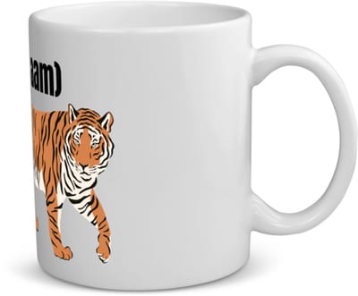 Akyol - tijger met eigen naam koffiemok - theemok - Tijger - dieren liefhebber - iemand die houdt van tijgers - verjaardag - cadeau - kado - geschenk - 350 ML inhoud