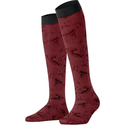 FALKE Rose Brush gedessineerd materiaal halfdoorzichtig 40 DEN kniekousen dames rood - maat 35-38