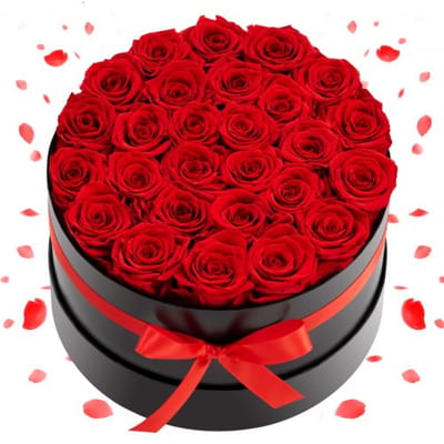 VEVOR 27 Eeuwige Rozen in een Ronde Doos, Geconserveerd Boeket, Bloemengeschenkdoos voor Uw Vrouw, Moeders, Geliefden, voor Bruiloften, Moederdag, Valentijnsdag, Kerstmis, Rood