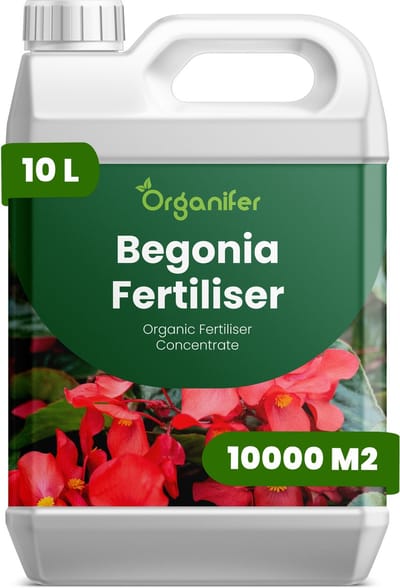 Vloeibare Meststof Voor Begonia 10 L Voor 10000 M2 - Npk 2-1-8 - Krachtige Groei - Weelderig Blad - Levendige Bloemen - Sterke Wortelontwikkeling - Bladkleur - Plantvitaliteit - Zachte Nutriëntenopname - Organifer