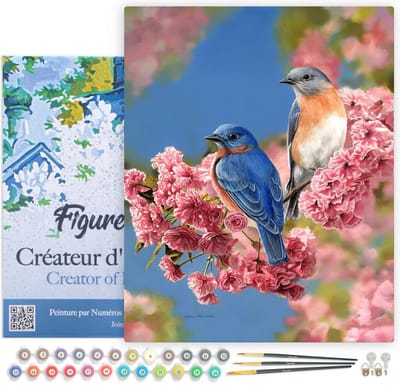 Figured'Art Schilderen op Nummer Volwassenen met lijst - Blauw vogelpaar - Handwerk acrylverf Kit DIY Compleet - 40x50cm Canvas al ingelijst