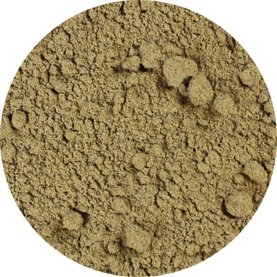 Van Beekum Specerijen - Kardemom Gemalen - 20 KG - Zak (bulk verpakking)
