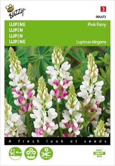 Buzzy - Lupine Pink Fairy