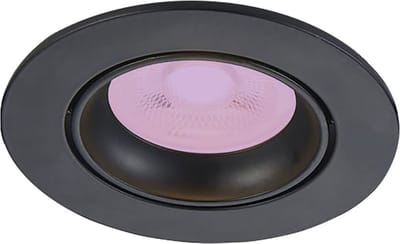 Inbouwspot Menno met Philips HUE White and Color - spot - Zwart - rond - Voor binnen / woonkamer / keuken / slaapkamer - IP20 - GU10 - Buitendiameter: 85MM - boorgat: 70-76MM - min. Inbouwdiepte: 70MM