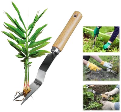 Dailygoods- Onkruidtrekker Lichtgewicht - Handmatige Onkruidverwijderaar - Roestvrij Staal - Houten Handvat - Y-vormig - Tuingereedschap 27 cm