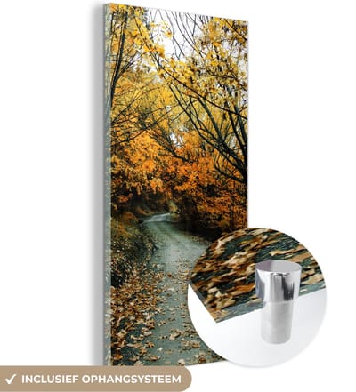 MuchoWow® Glasschilderij 20x40 cm - Schilderij acrylglas - Bladeren - Herfst - Bos - Foto op glas - Schilderijen