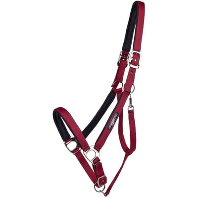 QHP HALSTER DELUXE TREKPAARD Rood