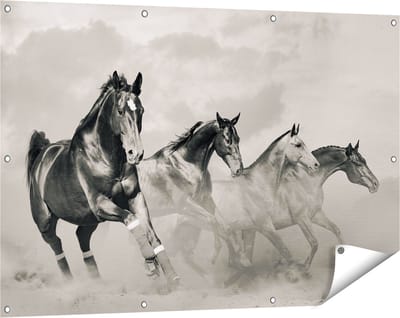 Gards Tuinposter Vier Paarden naast Elkaar - Zwart Wit - 120x80 cm - Tuindoek - Tuindecoratie - Wanddecoratie buiten - Tuinschilderij