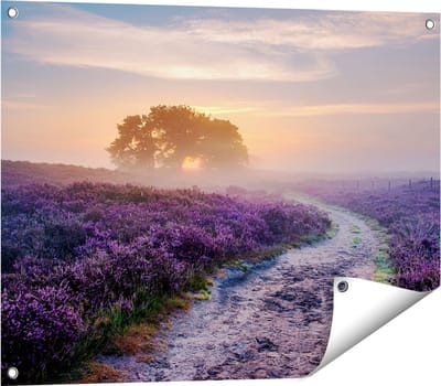 Gards Tuinposter Pad in de Weide van de Veluwe - 80x60 cm - Tuindoek - Tuindecoratie - Wanddecoratie buiten - Tuinschilderij