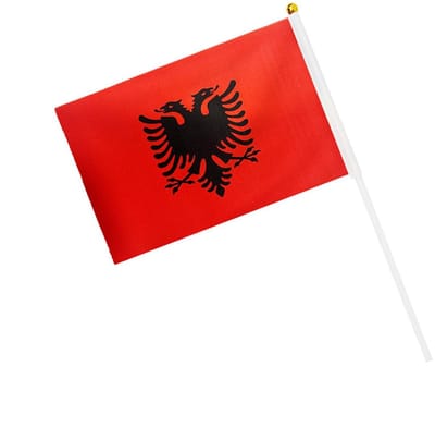 Kleine Handgehouden Vlaggen voor Sportevenementen 2024 - Dubbelzijdige Stoffen Vlaggen voor Parades en Festivals, 50 Stuks, 21 x 14 cm, Geschikt voor 24 Landen