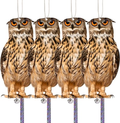 Effectieve Vogelafschrikker voor Balkon en Tuin - Uil en Raaf Scarecrow Set van 4 Stuks voor het Afschrikken van Meeuwen en Spreeuwen