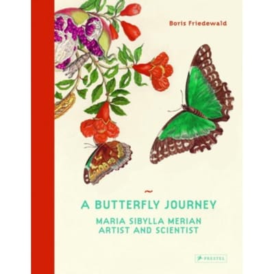 A Butterfly Journey - Boris Friedewald